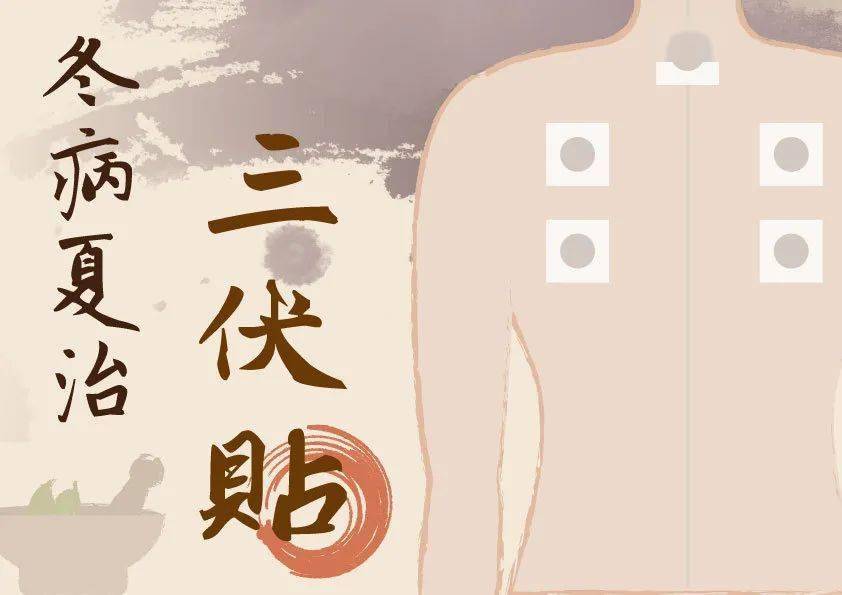 【詳解】什么是三伏貼？三伏貼的功效與注意事項！